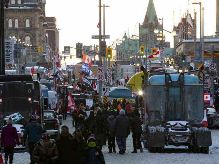 Les camionneurs arrachent le masque du consensus COVID: Commentaire complet avec Anthony Furey