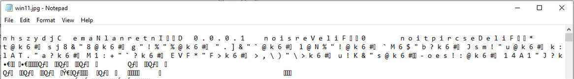 Le contenu d'un fichier informatique dans un éditeur de texte, montrant que le flux normal d'informations a été inversé.