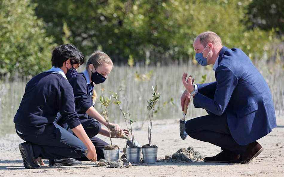 Le duc de Cambridge plante des mangroves avec des écoliers locaux lors d'une visite au Jubail Mangrove Park - Chris Jackson