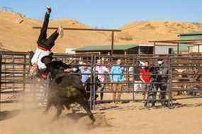 Johnny Knoxville se fait renverser par un taureau dans Jackass Forever.