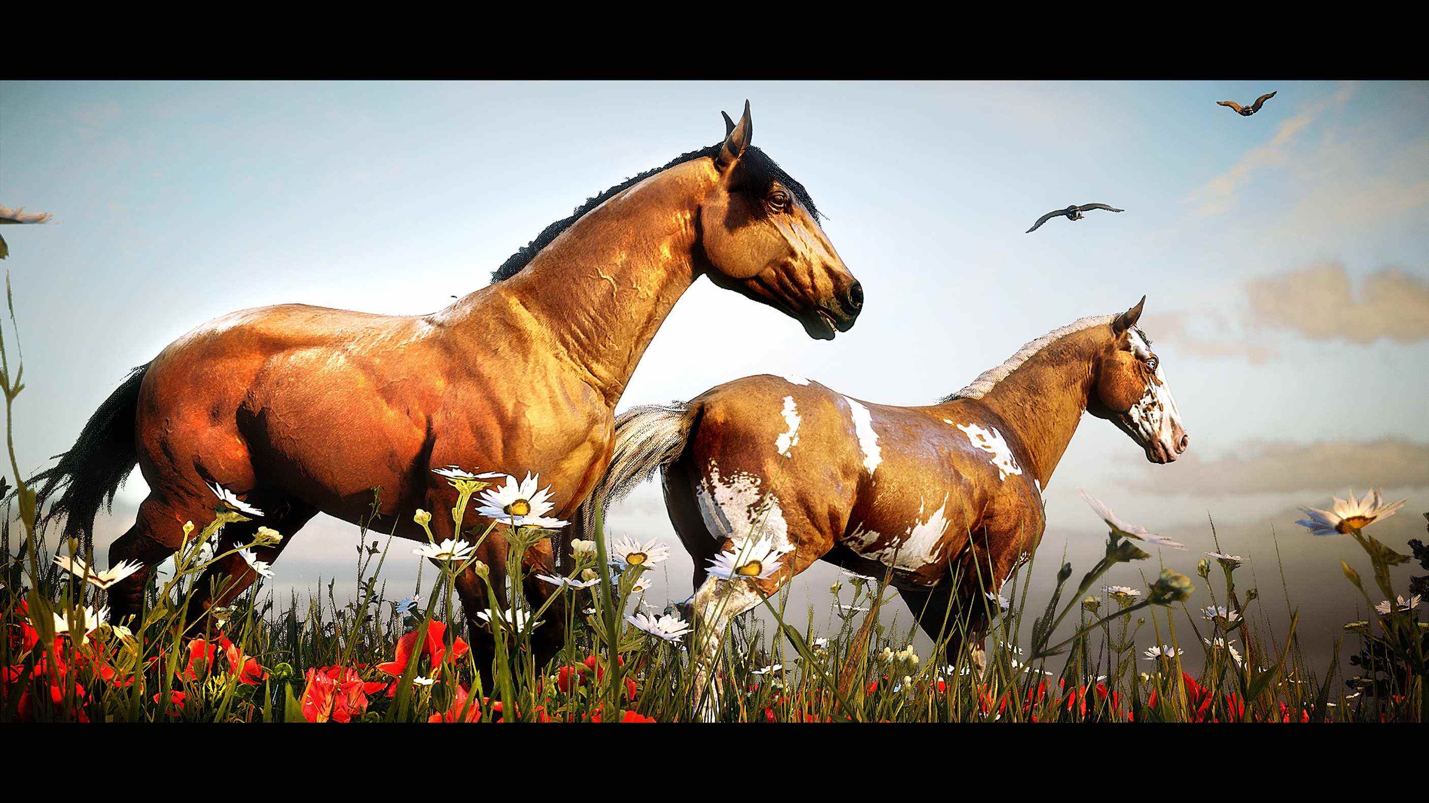 Red Dead Redemption 2 a édité une photographie en jeu de deux chevaux dans un champ d'herbe et de fleurs sauvages.