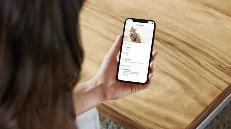 La nouvelle fonctionnalité de profil d’animal de compagnie de Ring peut vous aider à retrouver votre chien perdu