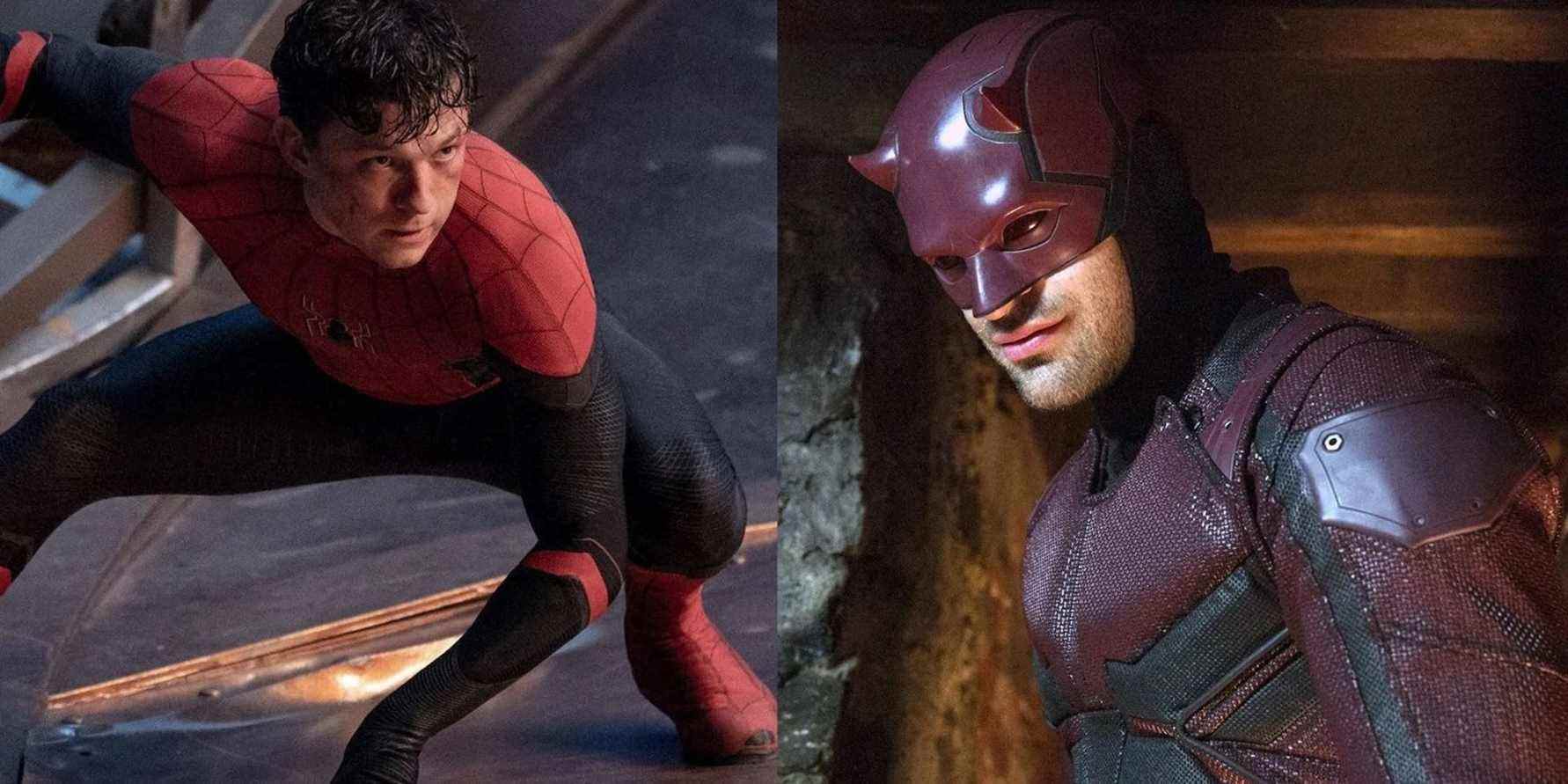 Tom Holland veut que Spider-Man et Daredevil de Charlie Cox fassent équipe
