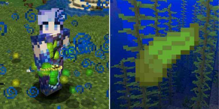 Minecraft: Comment faire de la ferme Kelp XP (1.18)
