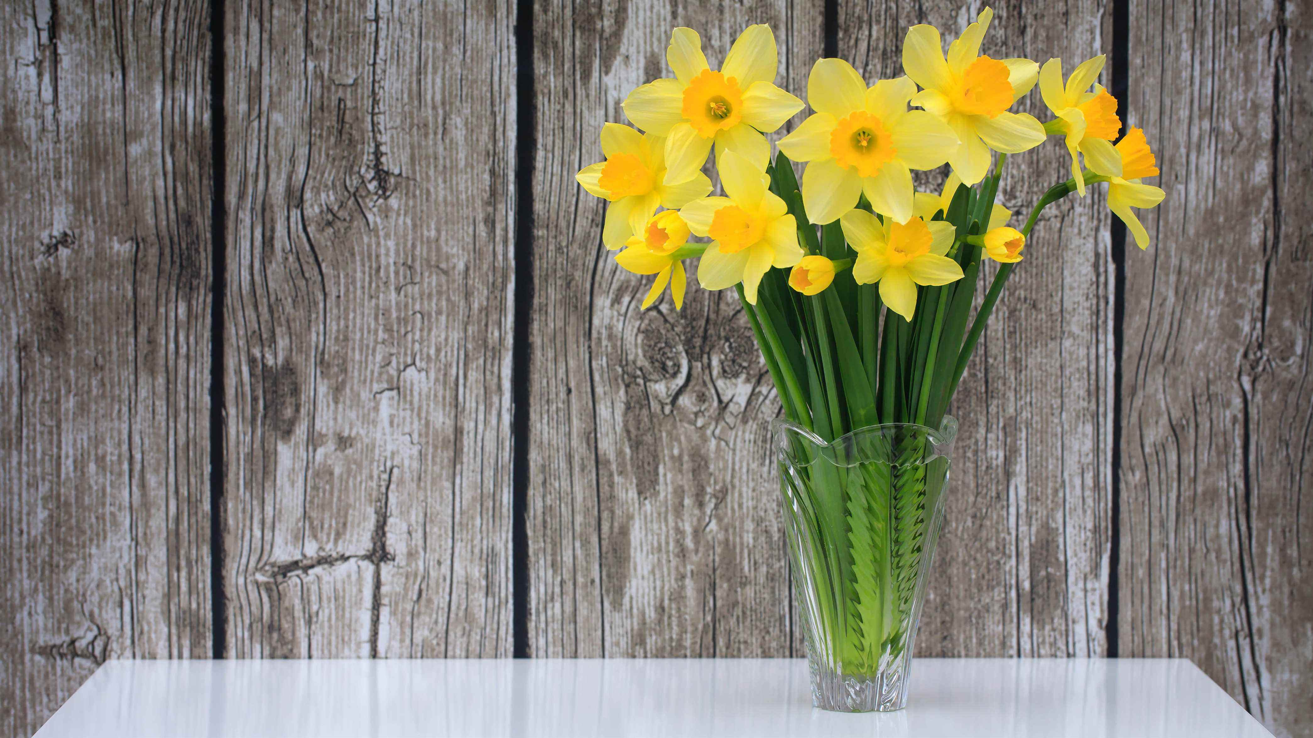 Un vase de jonquilles sur une table