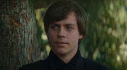 L'acteur de Luke Skywalker (pas celui-là) a adoré son expérience du livre de Boba Fett