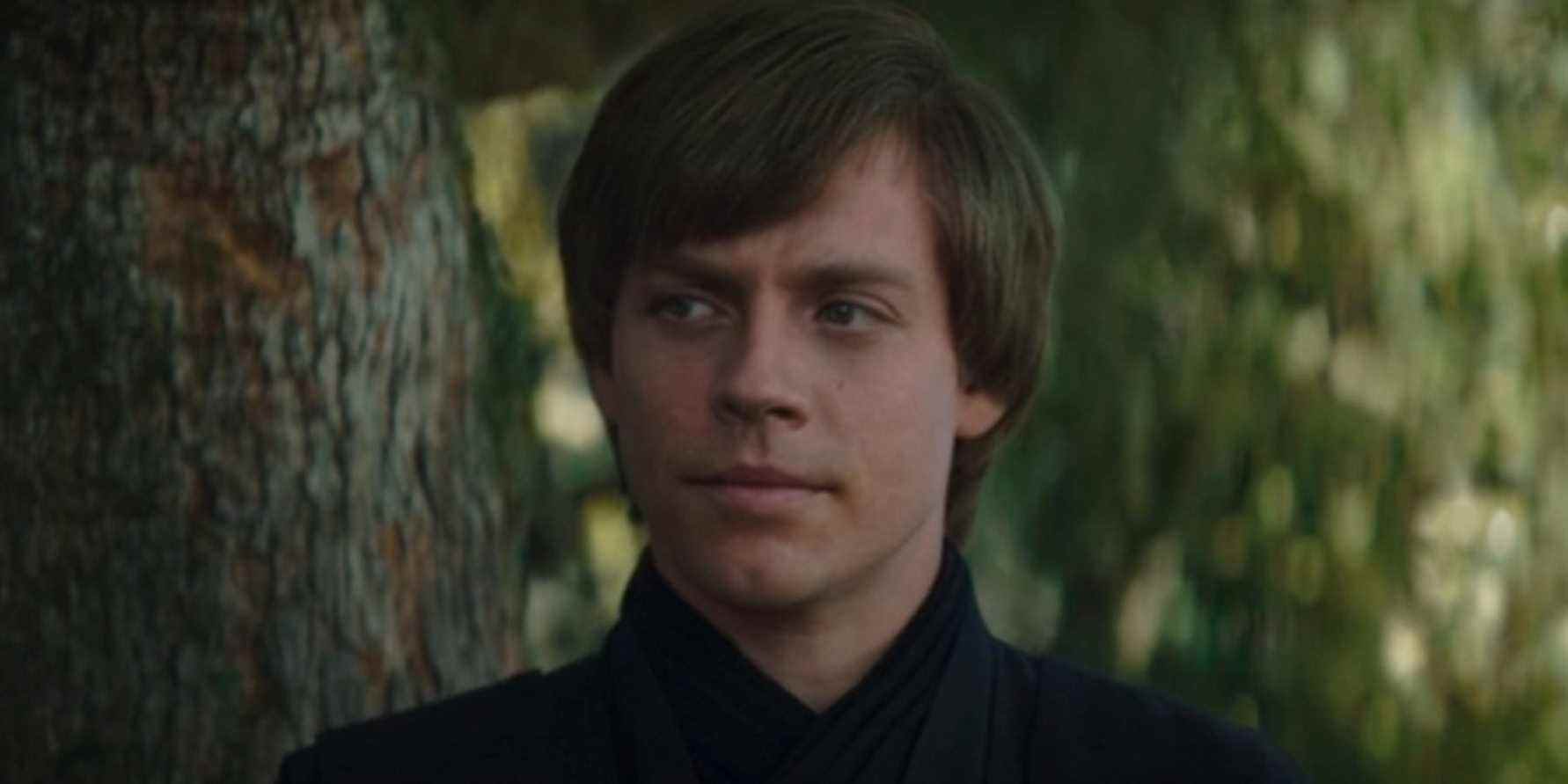 L'acteur de Luke Skywalker (pas celui-là) a adoré son expérience du livre de Boba Fett
