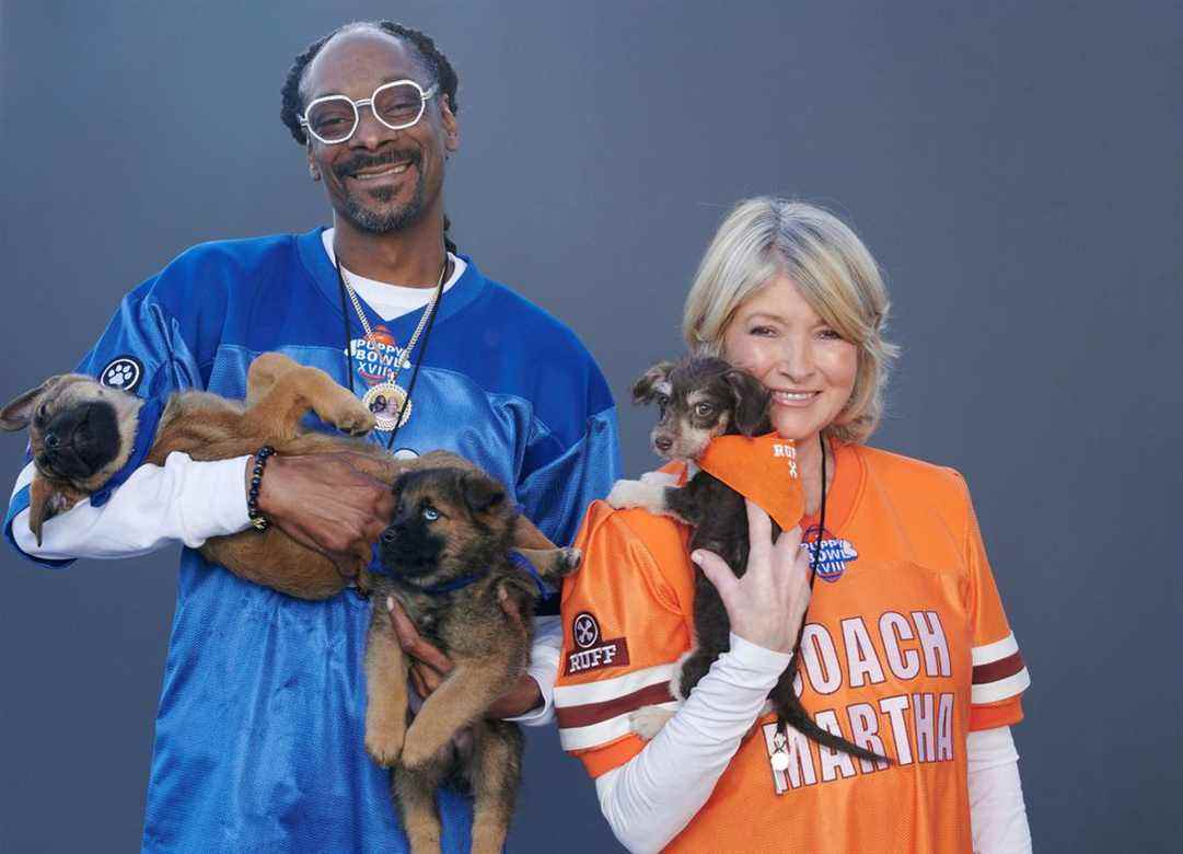 chiot-bol-xviii-martha-et-snoop