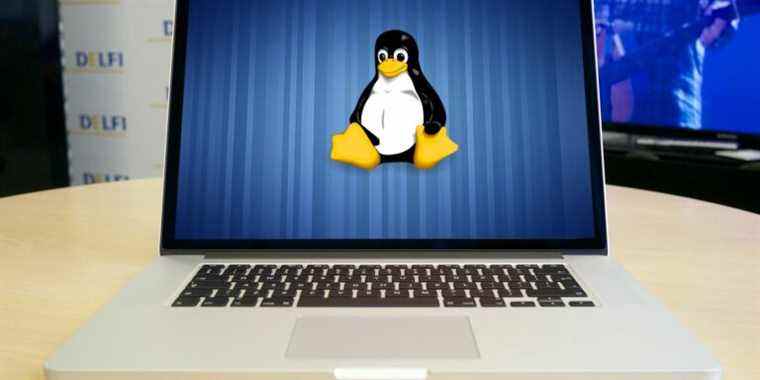 Comment installer et double démarrer Linux sur votre Mac