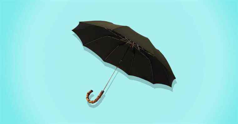 Ce parapluie remarquablement beau se replie aux proportions de Mary Poppins
