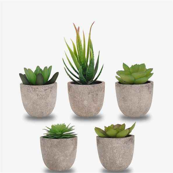 Lot de 5 Plantes Succulentes Artificielles