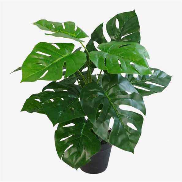 Plante artificielle Monstera