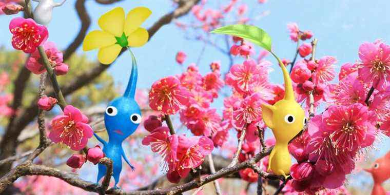 Le lien de la boîte d'abonnement de Pikmin Bloom offre une touche unique à la formule de Niantic
