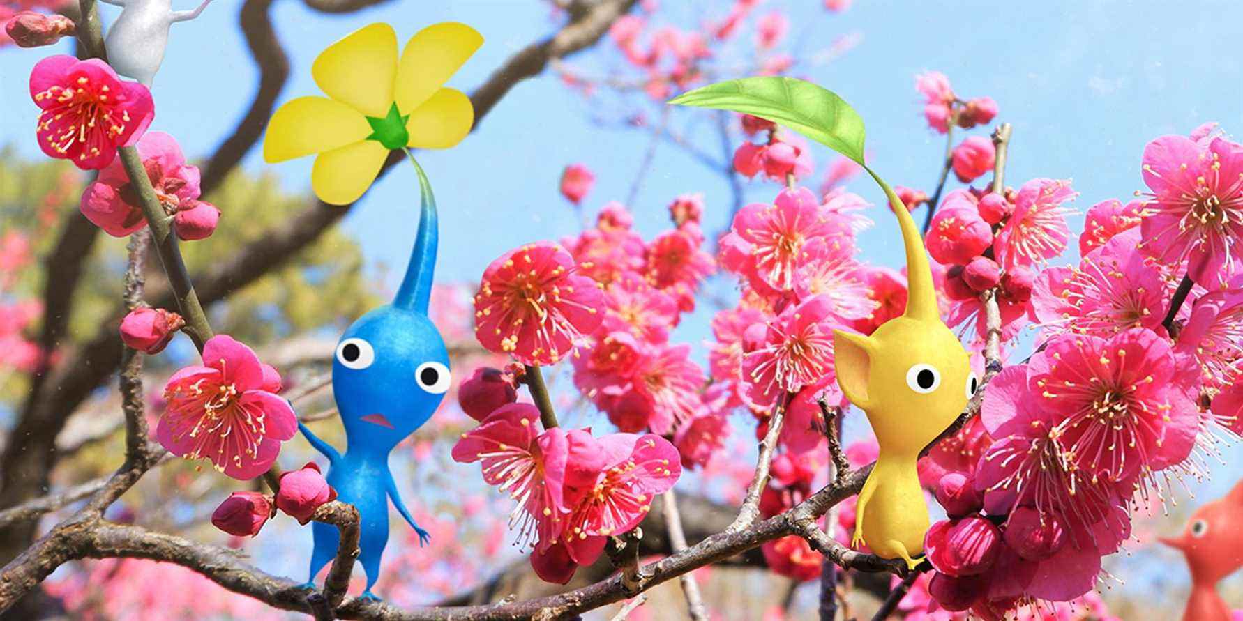 Le lien de la boîte d'abonnement de Pikmin Bloom offre une touche unique à la formule de Niantic
