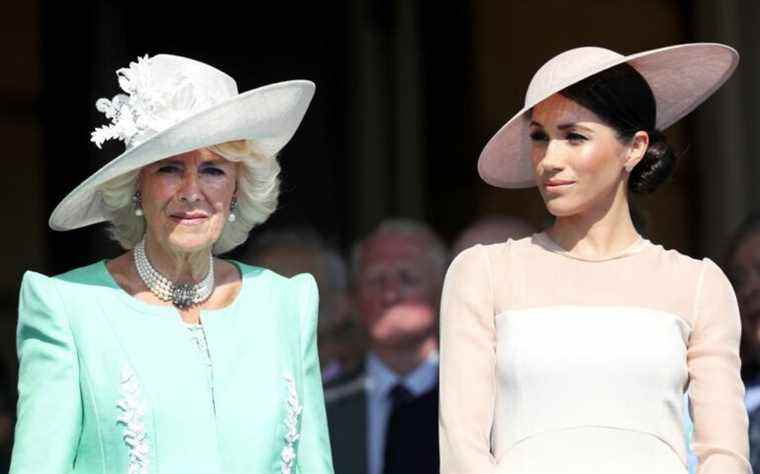 «THAT MINX»: Camilla a qualifié Meghan de «fauteur de troubles égoïste»