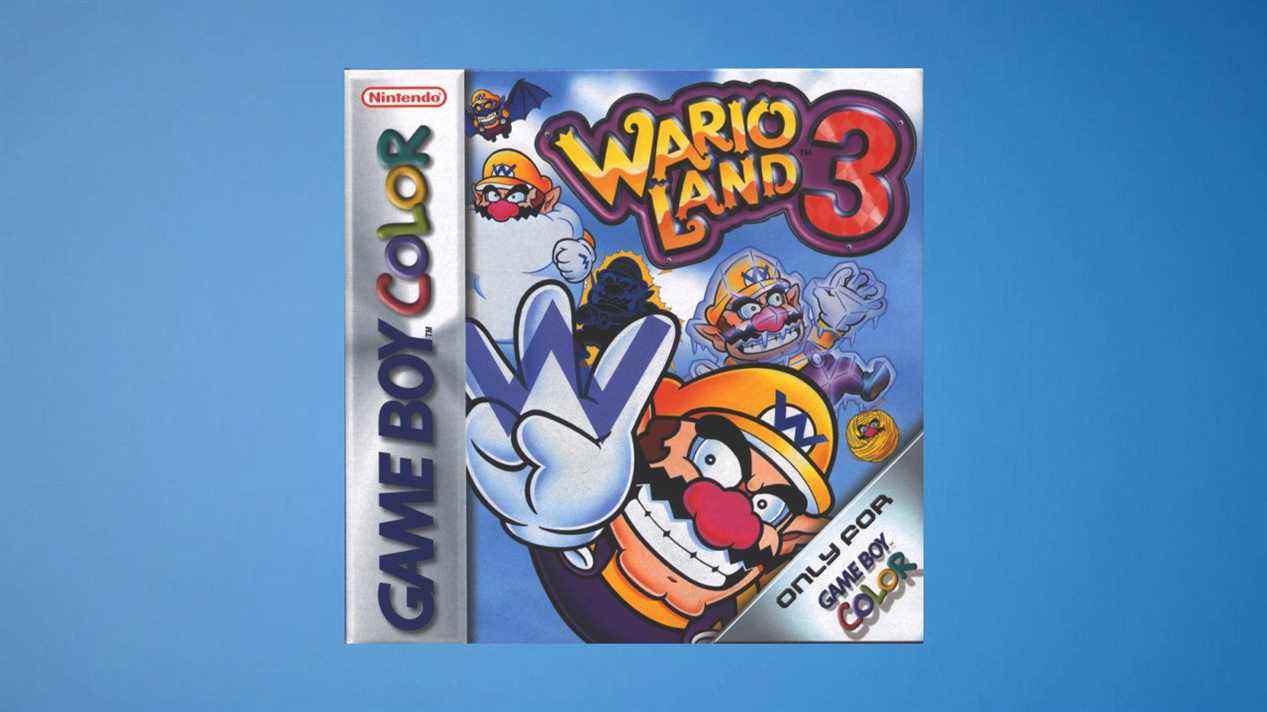 Terre Wario 3