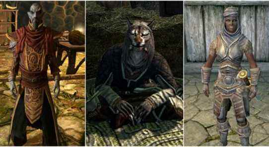 Skyrim Anniversary Edition : toutes les races jouables, classées en mode Survie