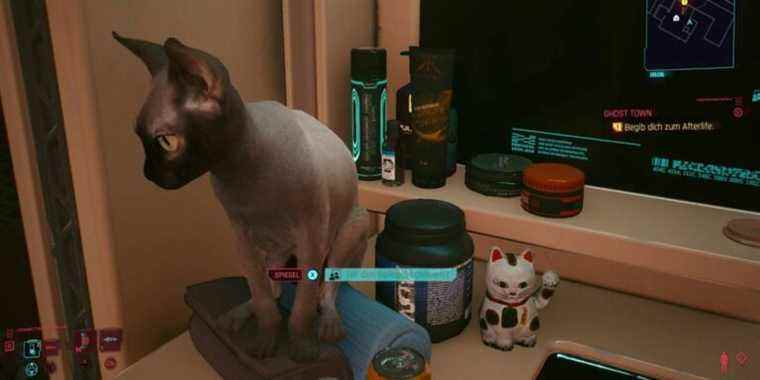 Même les chats ont amélioré l'IA dans la mise à jour Cyberpunk 2077
