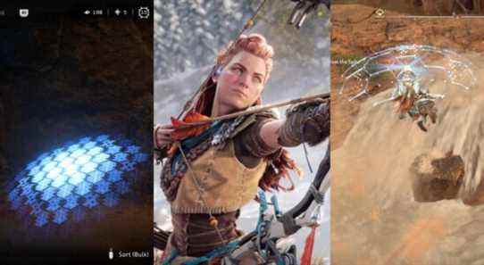 horizon forbidden west aloy shieldwing