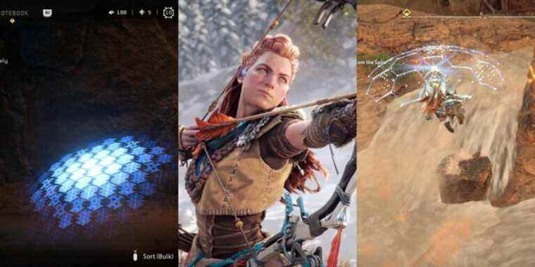 horizon forbidden west aloy shieldwing