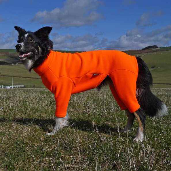 Combinaison pour chien Equafleece