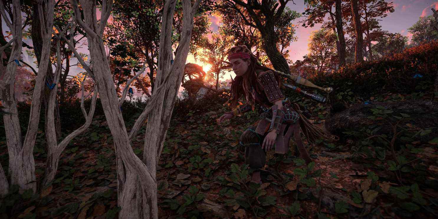 aloy debout près d'un arbre de couleur cendrée avec le soleil se couchant sur une colline derrière elle