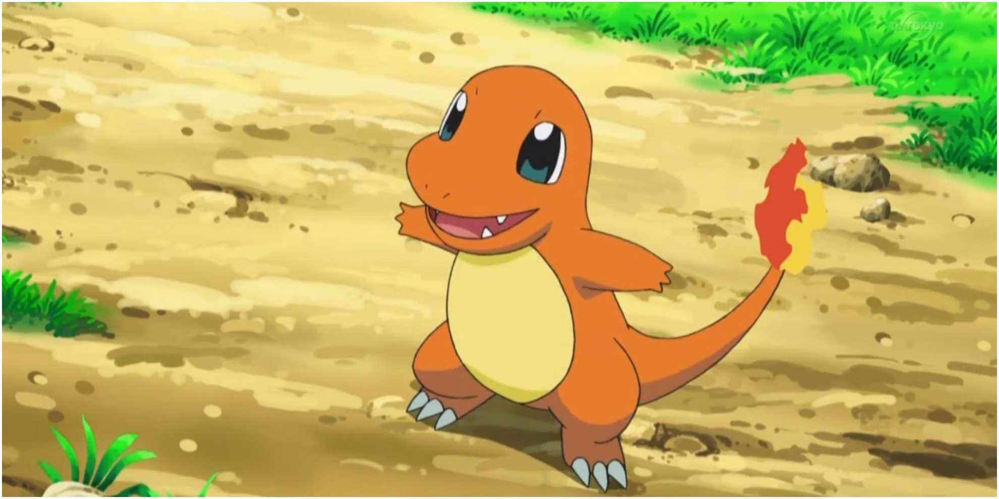 Feu Pokemon Starter Pokemon Salamèche