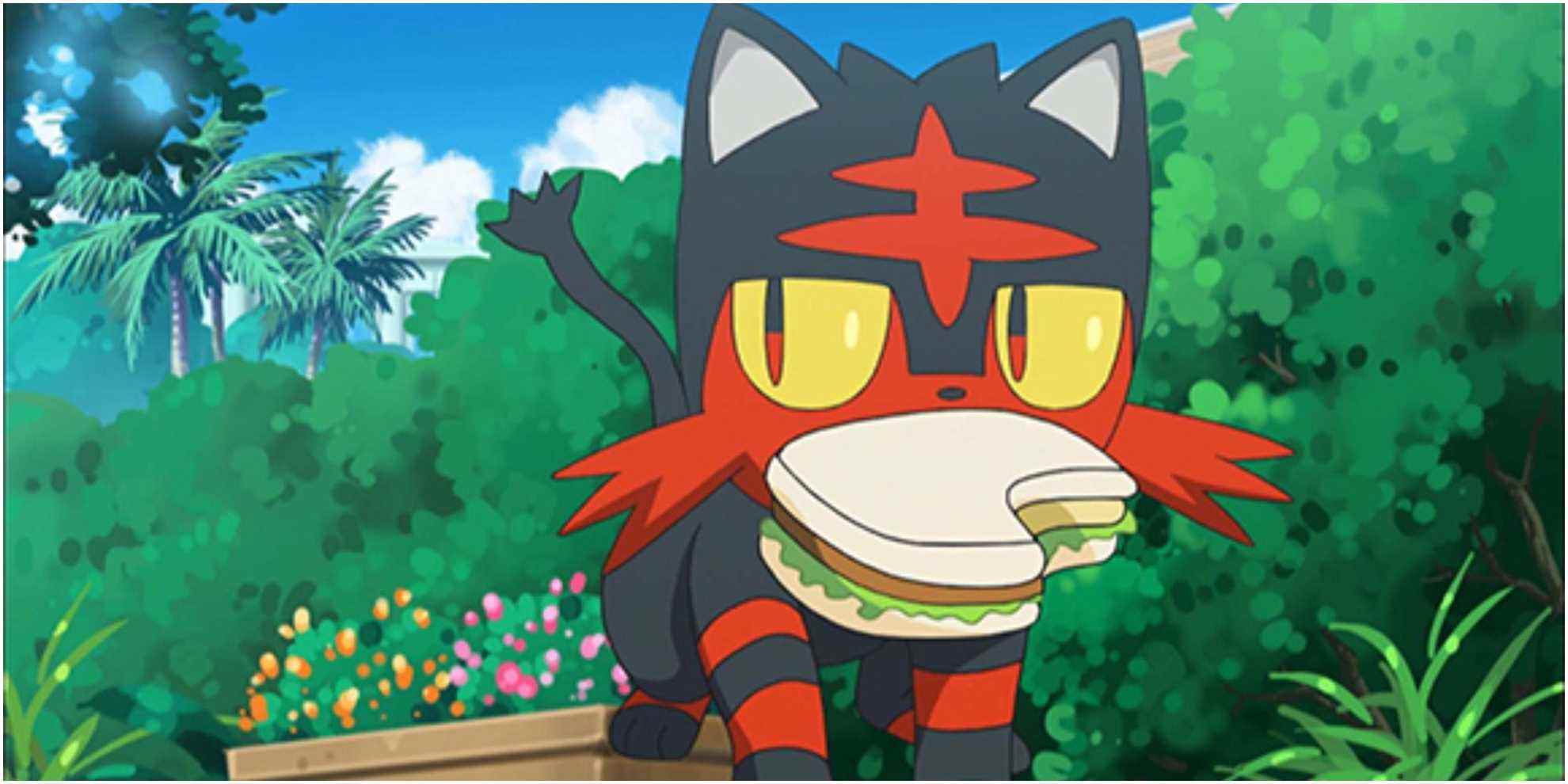 Démarreurs de Pokémon de type feu Pokemon Litten