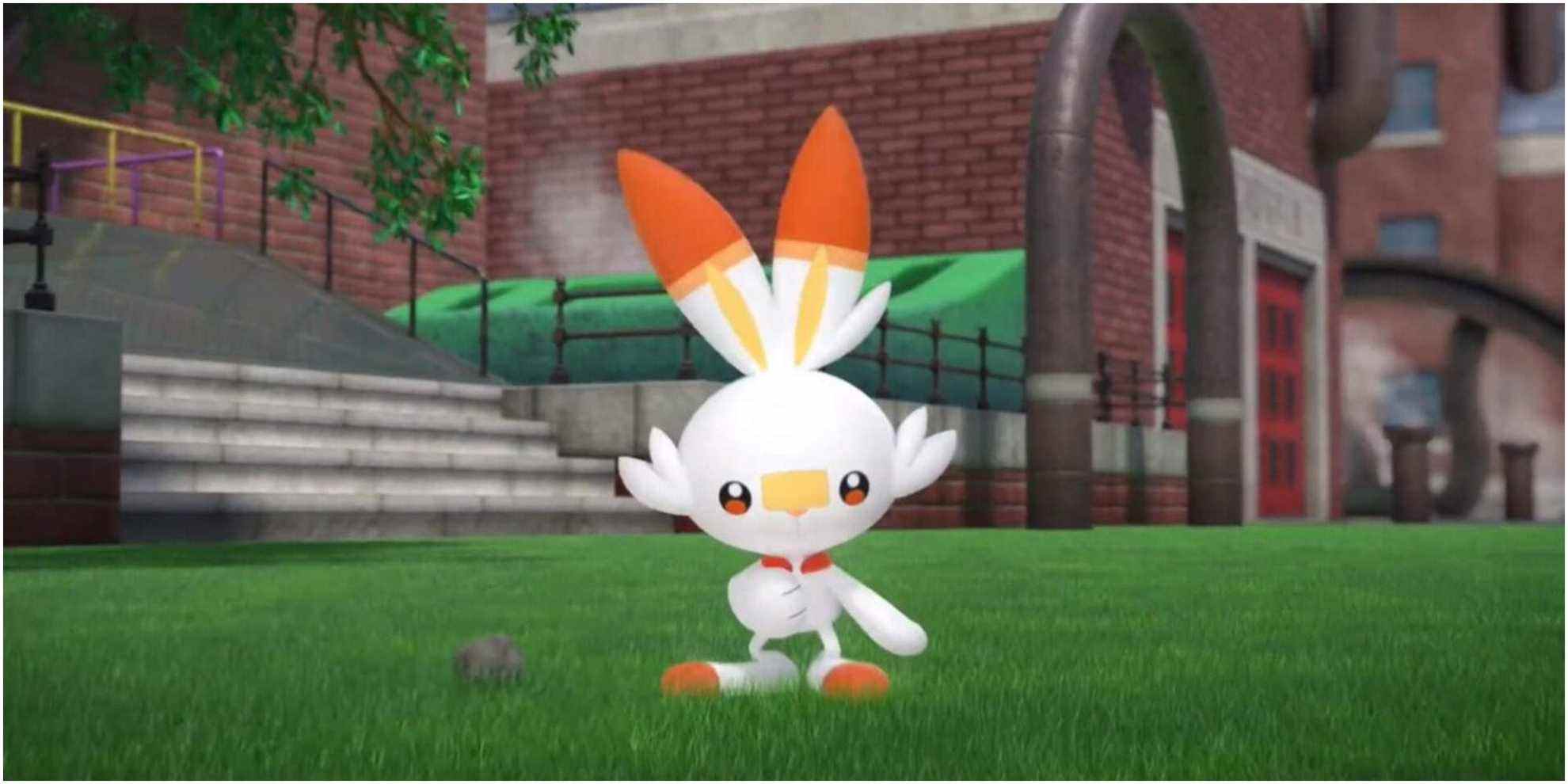 Scorbunny Pokemon Fire Type Allume-feu Brillant Diamant