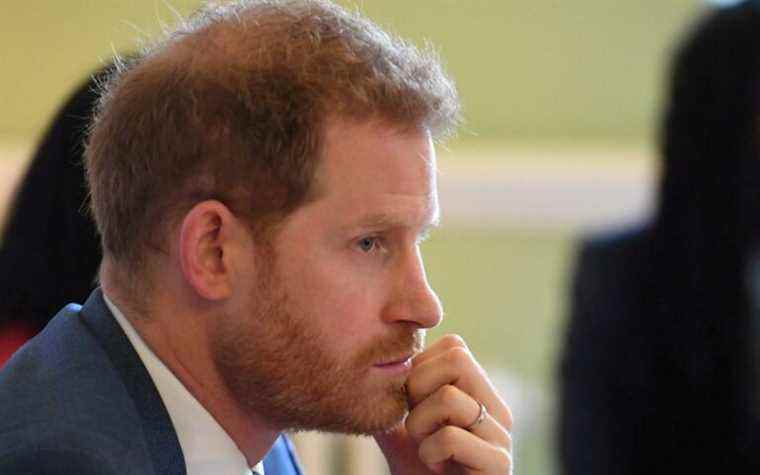 Prince Harry: Je ne sais même pas qui a décidé que je ne devrais pas faire appel à la sécurité policière