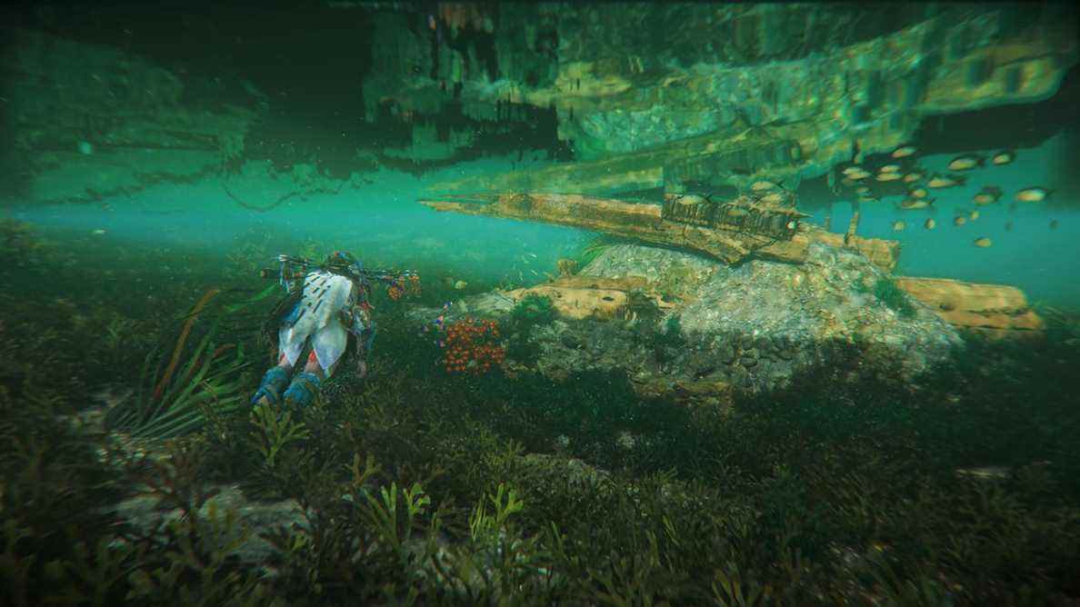 Aloy nage loin du spectateur et l'image est encadrée de telle sorte que la surface de l'eau reflète les structures sous l'eau