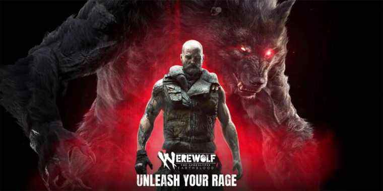 5 conseils pour débutants pour Werewolf: The Apocalypse - Earthblood
