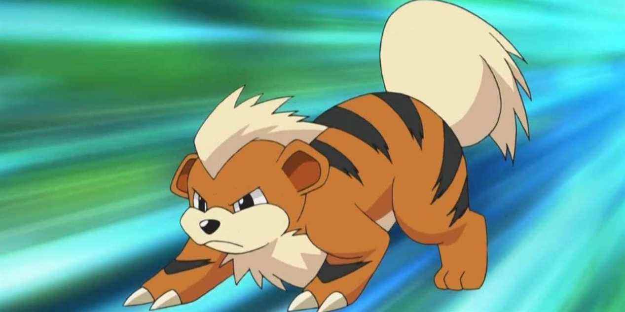 growlithe-1131462-1280x0 Recadrée (1)