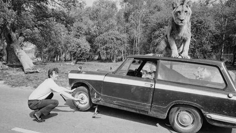 Ce sont les vieux problèmes de voiture dont vous êtes content de ne plus exister