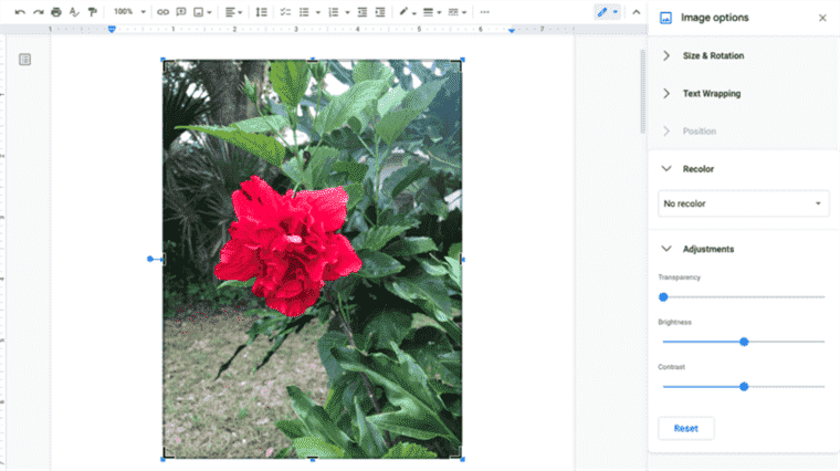 Comment recadrer, faire pivoter et ajuster des images dans Google Docs