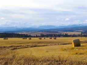 Un lecteur ne veut pas vendre un grand terrain familial.