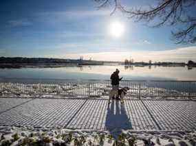 Un homme qui promène un chien vérifie son téléphone alors que la banquise s'accumule sur le fleuve Fraser à New Westminster, en Colombie-Britannique