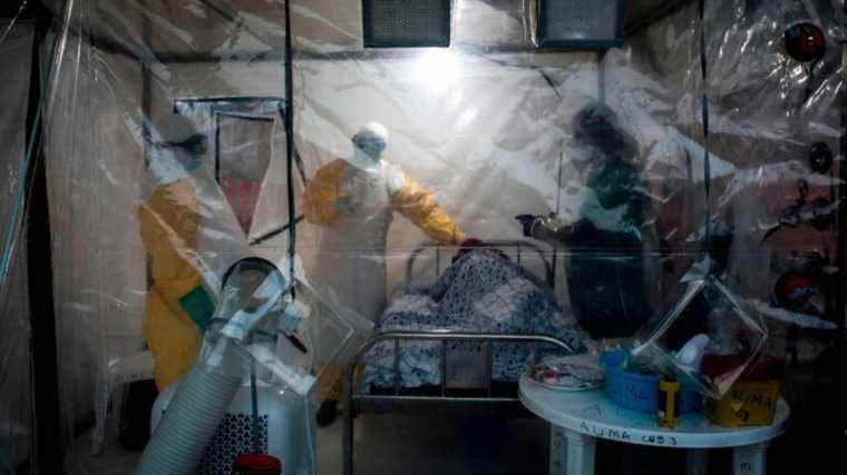 Ebola peut persister dans le cerveau des survivants même après un traitement aux anticorps, selon une étude