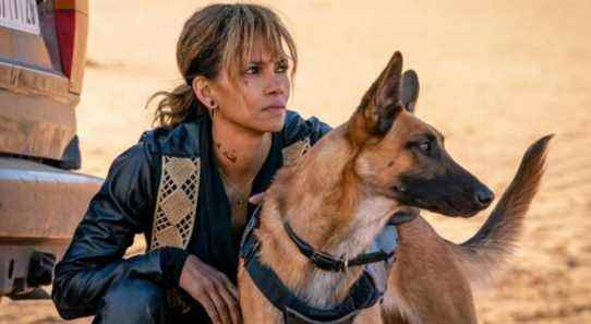 Halle Berry fait allusion à son propre spin-off de John Wick