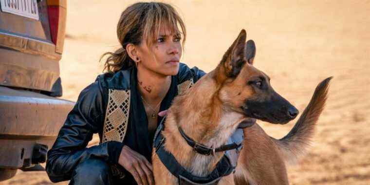 Halle Berry fait allusion à son propre spin-off de John Wick
