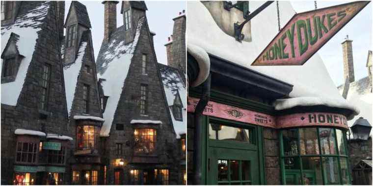 Collage Of Hogsmeade In Harry Potter Series