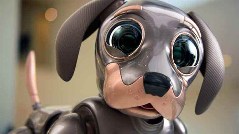 Kia’s MUST WATCH Super Bowl Commercial: Pour Robo Dog, Power Is Love