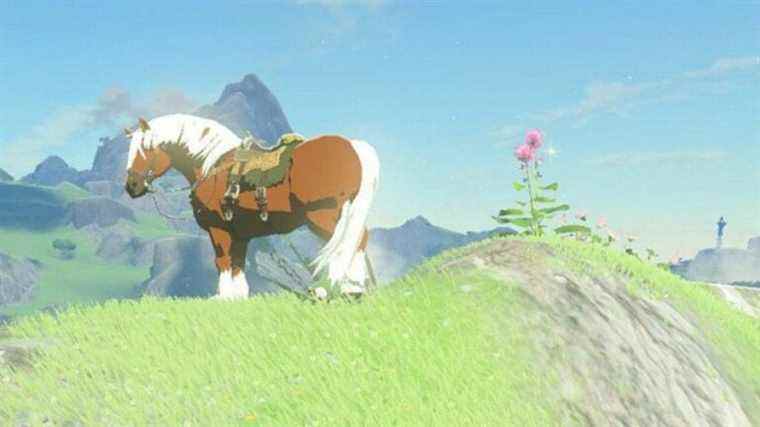 La refonte du studio de support Breath of the Wild amène les fans à se demander si une annonce est imminente