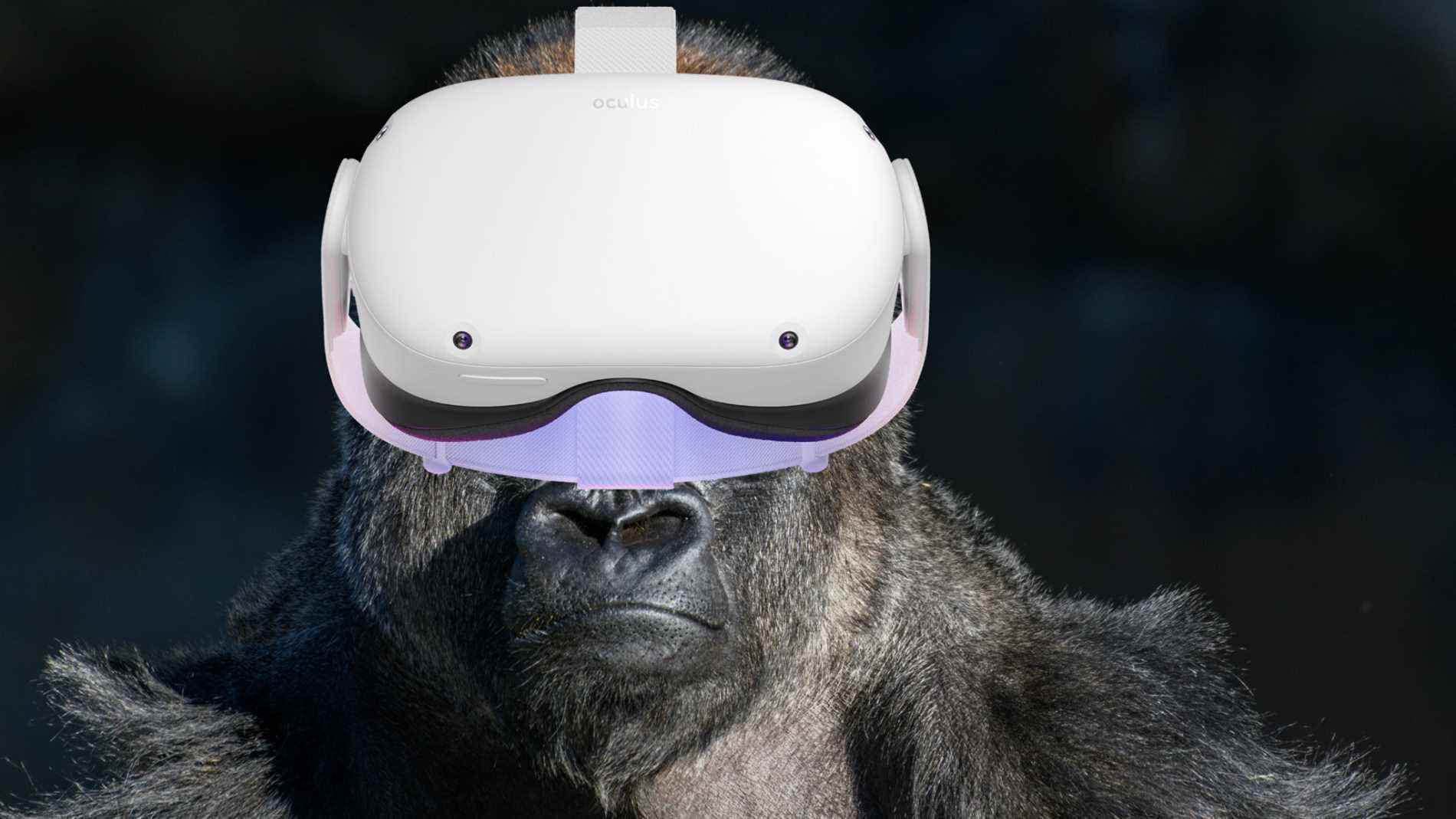 Le bras de gorille est une blessure VR dont les utilisateurs d'Oculus Quest 2 doivent se méfier
