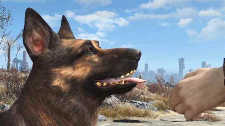 Le chien qui jouait Dogmeat dans Fallout 4 est mort

