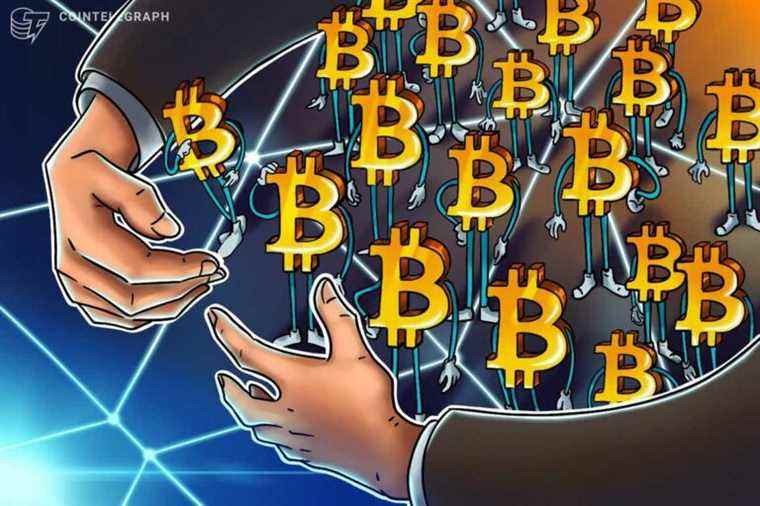 Les adresses BTC non nulles atteignent un niveau record de 40 millions