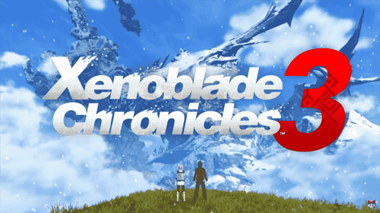 Les descriptions des personnages de Xenoblade Chronicles 3 confirment les doubles protagonistes