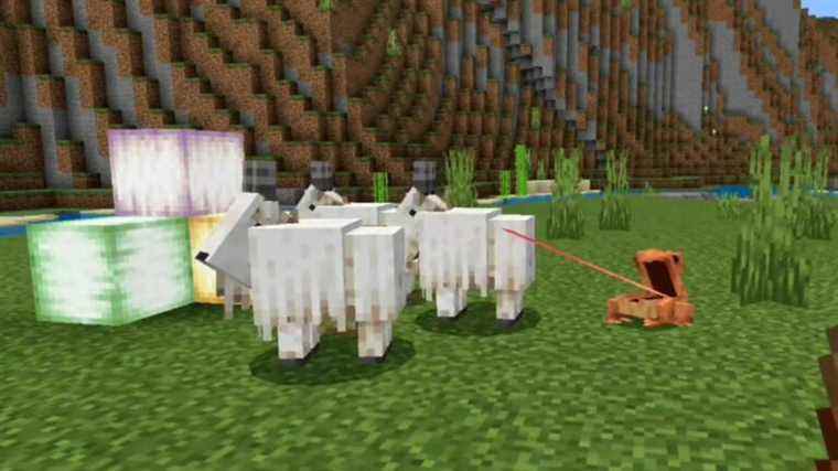 Les nouvelles grenouilles de Minecraft avalent brièvement des chèvres entières
