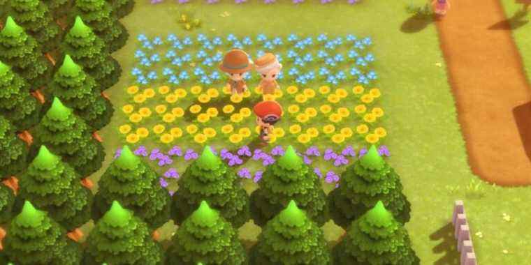 L'image montre comment Floara Garden dans Pokemon Legends: Arceus se compare à Floaroma Town de Diamond and Pearl
