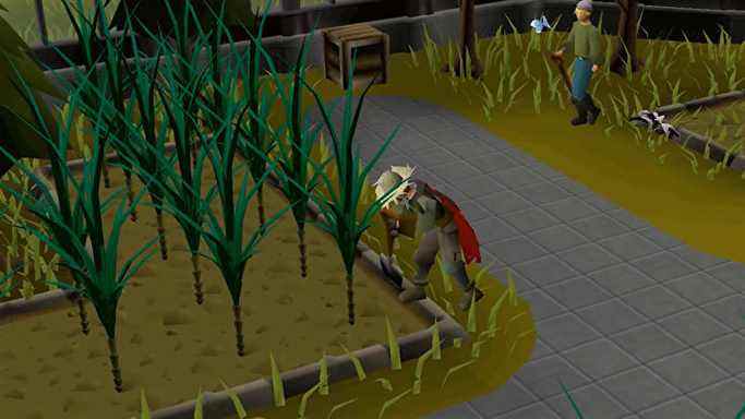 Un joueur s'occupe de ses cultures dans Old School Runescape.